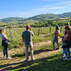 oenotourisme visite frederic berne beaujolais bio agroecologie biodynamie gamay